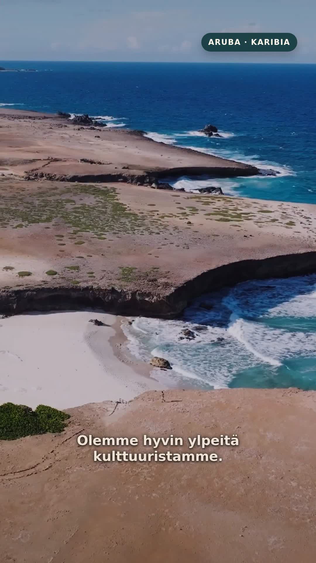 Aruba coastline seen from above